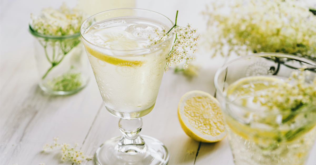 Bianco refresher cocktail garnished with fresh elderflower